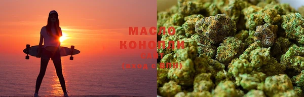 крисы Алзамай