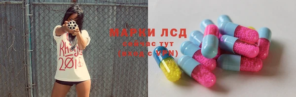 крисы Алзамай