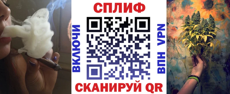 Марихуана Amnesia  где можно купить наркотик  Сольвычегодск 